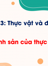 Bài 8 Sự sinh sản của thực vật có hoa